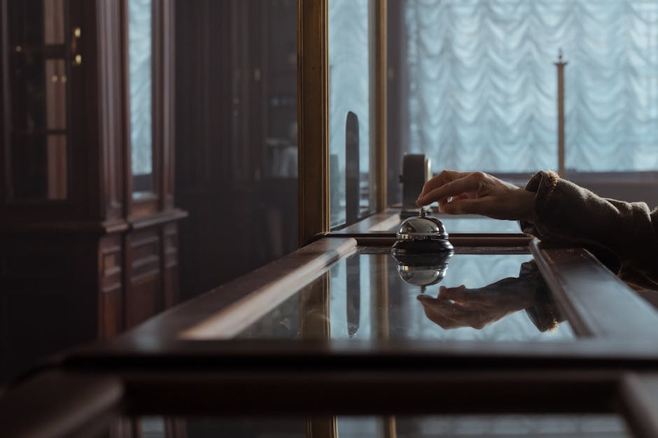 Licensed professional woodworker demonstrating skilled craftsmanship